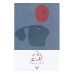 کتاب بزرگسال