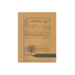 کتاب چادر کردیم رفتیم تماشا (سفرنامه عالیه خانم شیرازی)